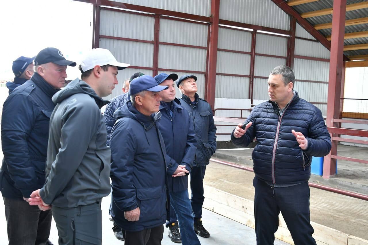 Рустам Минниханов посетил животноводческий комплекс в Чистопольском районе