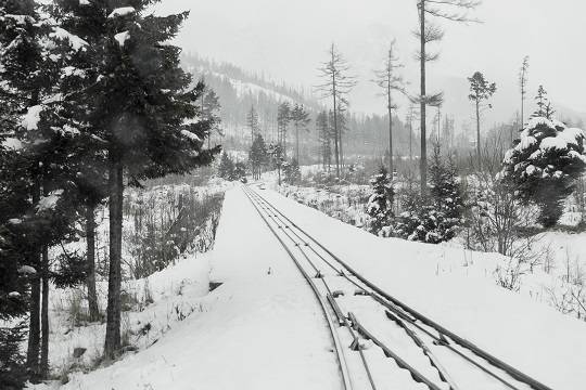 Аномальный снежный коллапс оставил без света тысячи жителей Свердловской области