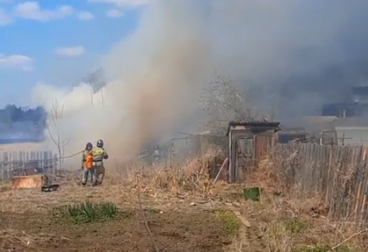 Жилой дом и животных отстояли от пала травы пожарные в Биробиджане